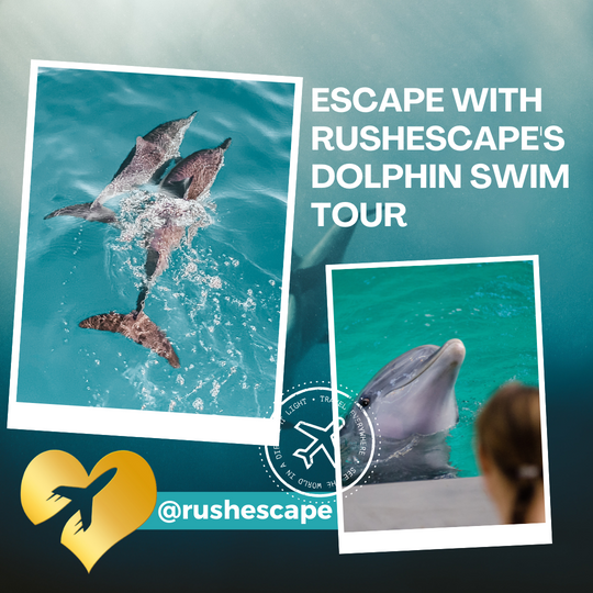 DolphSwim  Tour
