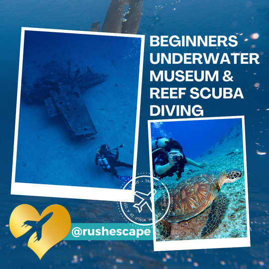 Beginners Underwater Museum & Reef Scuba Diving