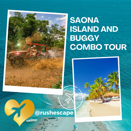 Punta Cana Saona Island And Buggy Combo