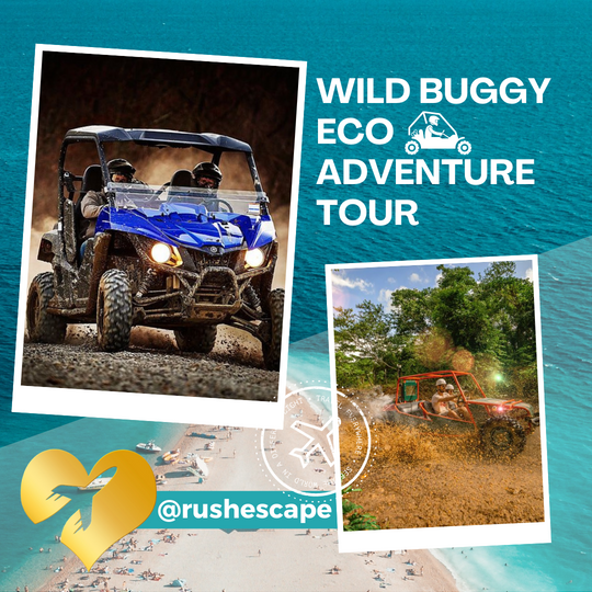 Wild Buggy Eco Adventure from Punta Cana