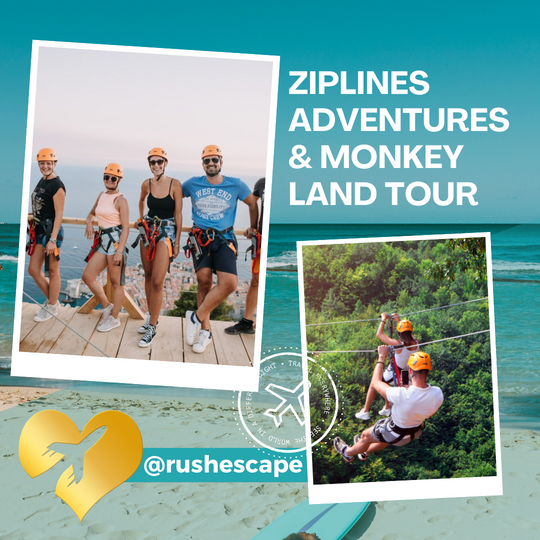 Ziplines Adventures & Monkey Land Entry