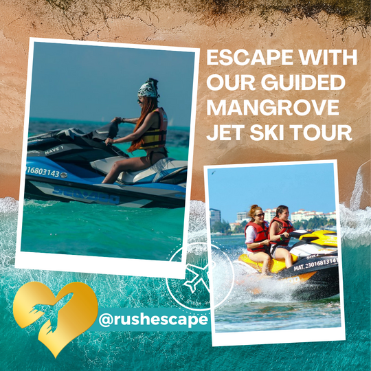 Cancun: Guided Mangrove Jet Ski Tour