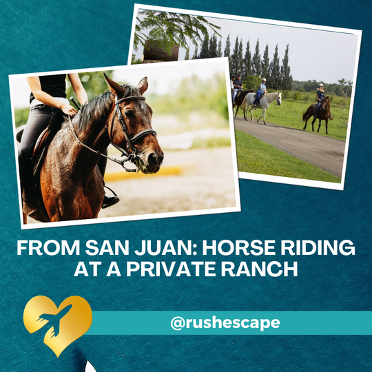 From San Juan: Horse Riding at a Private Ranch