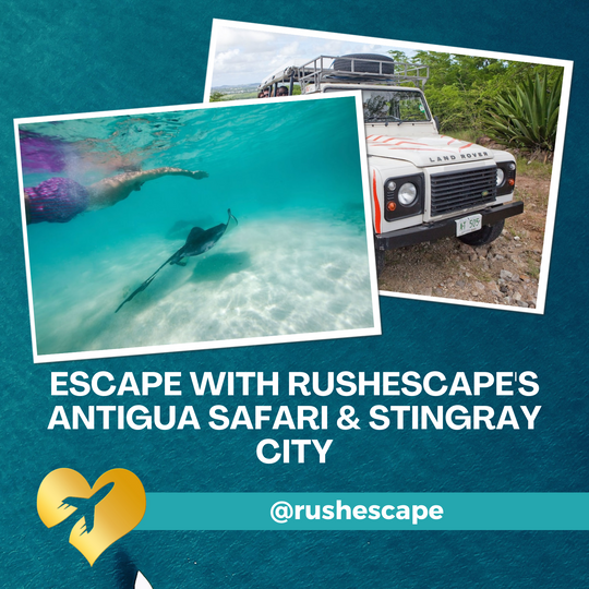 Antigua Safari & Stingray City