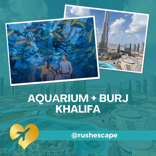 Aquarium + Burj Khalifa