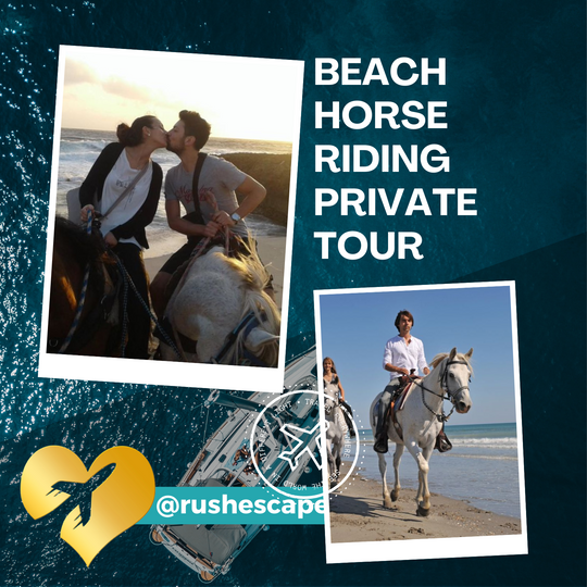 Aruba Arikok National Park & Beach Horse Riding Private Tour