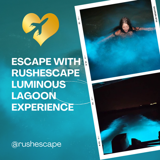 Luminous Lagoon Experience