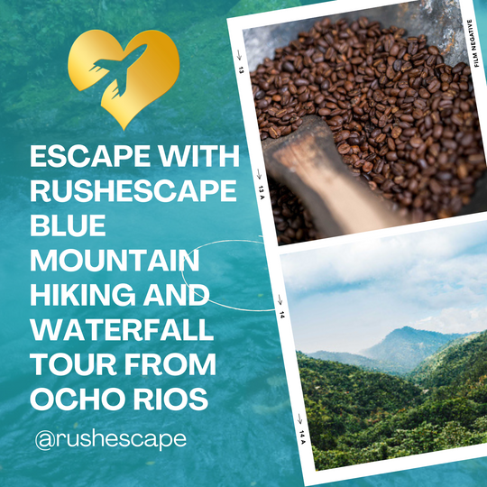 Blue Mountain Hiking and Waterfall Tour from Ocho Rios